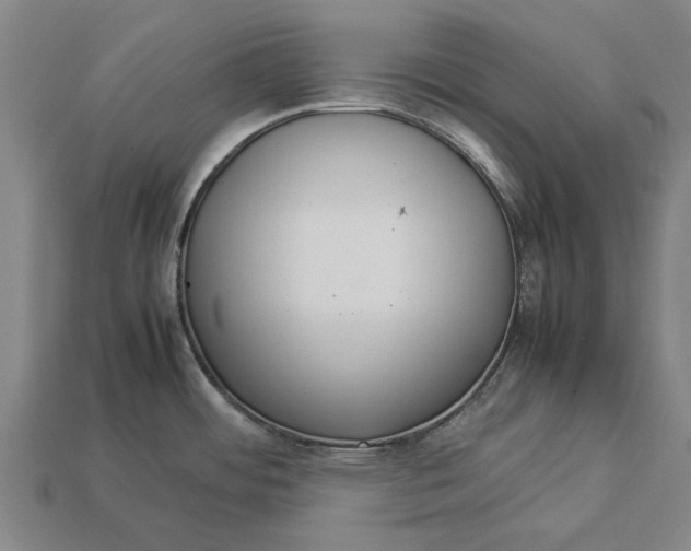 X0000113071484200909250919