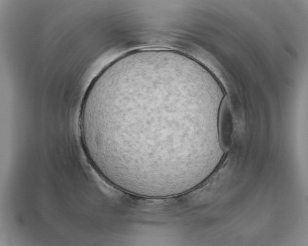 X0000113071485200909250919