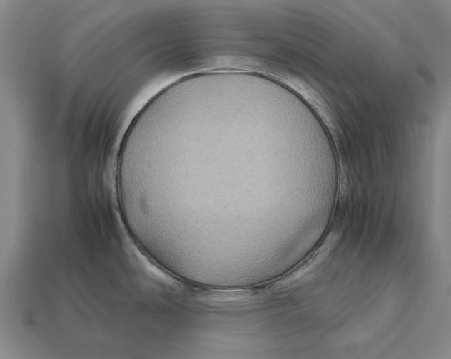 X0000113071486200909250919