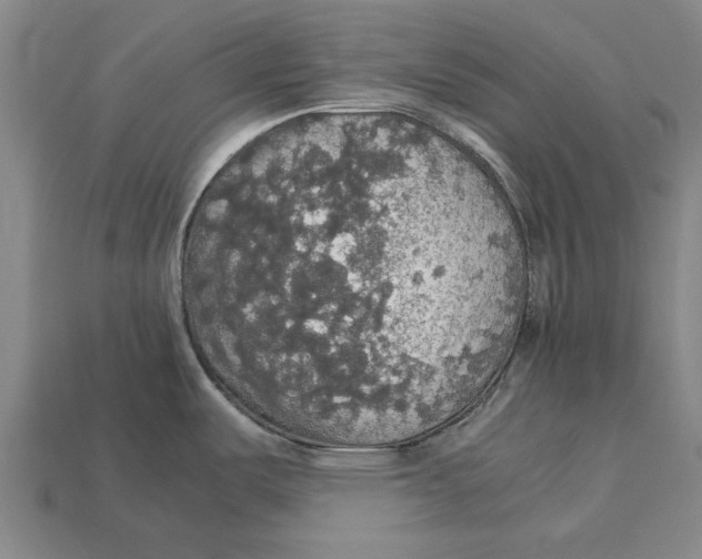 X0000113071487200909250919