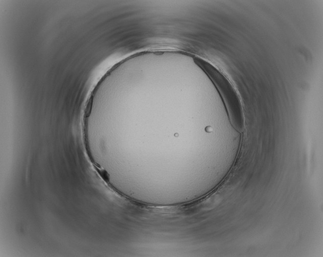 X0000113071488200909250919
