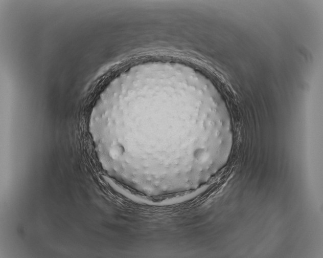 X0000113071494200909250918