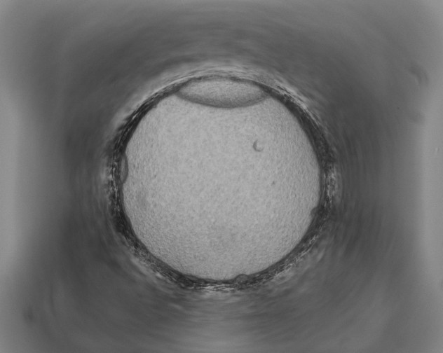X0000113071496200909250918