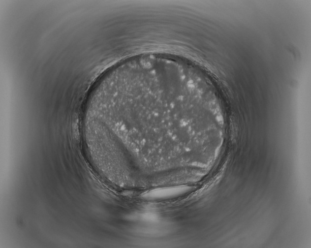 X0000113071497200909250918