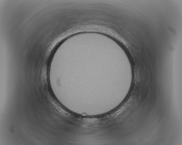 X0000113071498200909250918