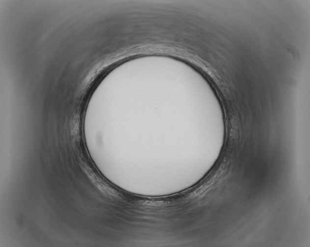 X0000113071499200909250918