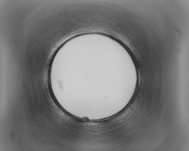 X0000113071500200909250918
