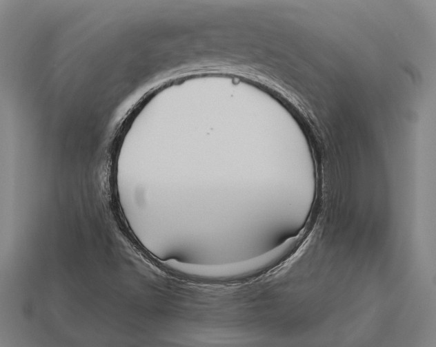 X0000113071502200909250918