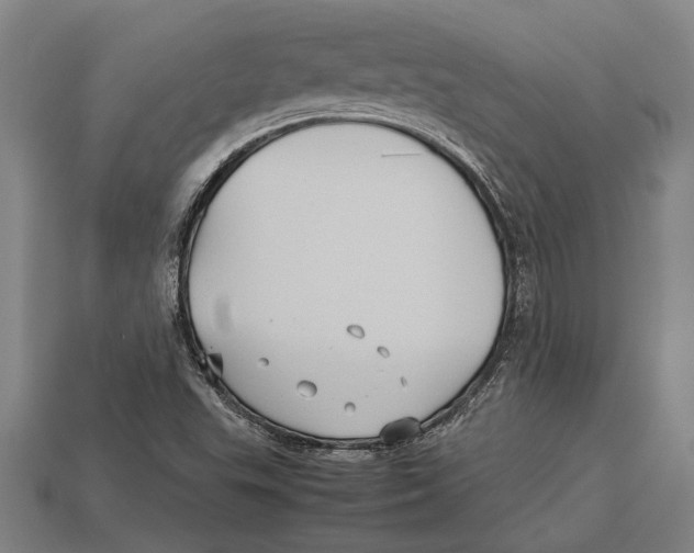 X0000113071503200909250918