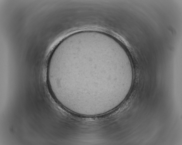 X0000113071504200909250918