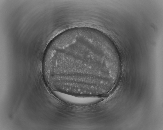 X0000113071505200909250918