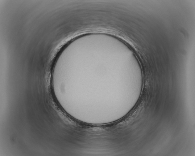 X0000113071507200909250918