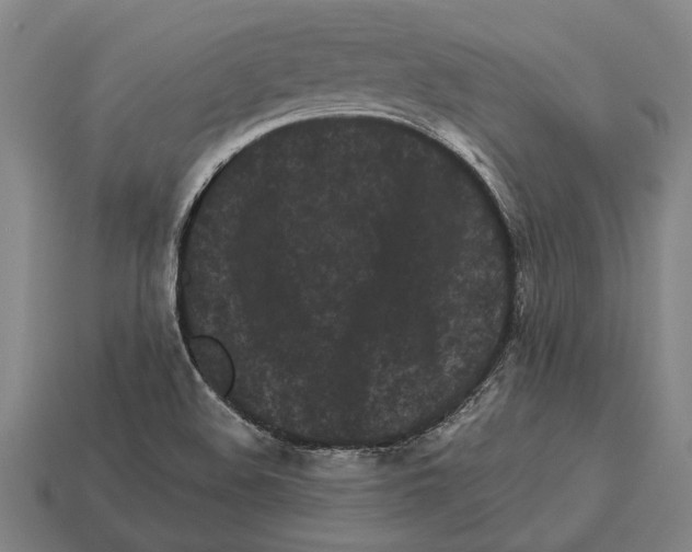 X0000113071508200909250918
