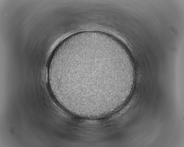 X0000113071509200909250918