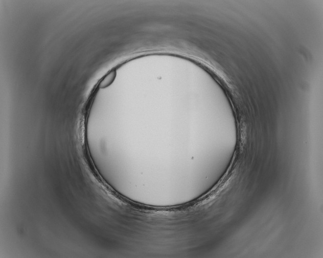 X0000113071510200909250918