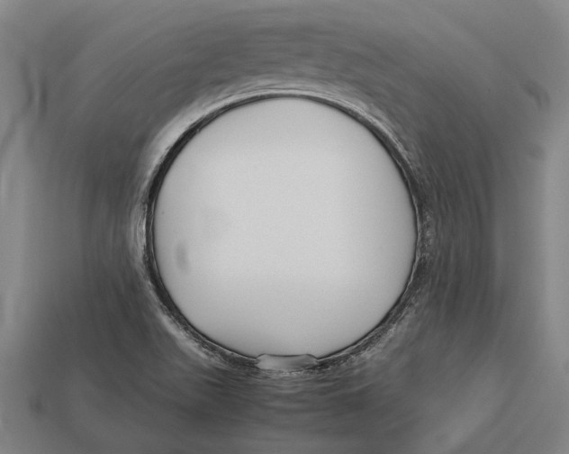 X0000113071511200909250918