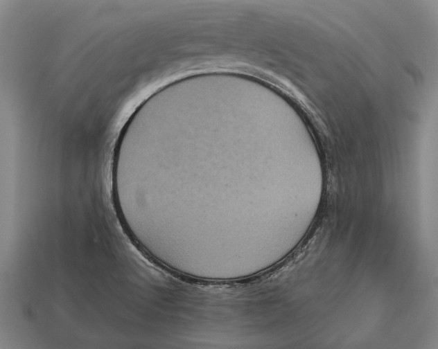 X0000113071512200909250918