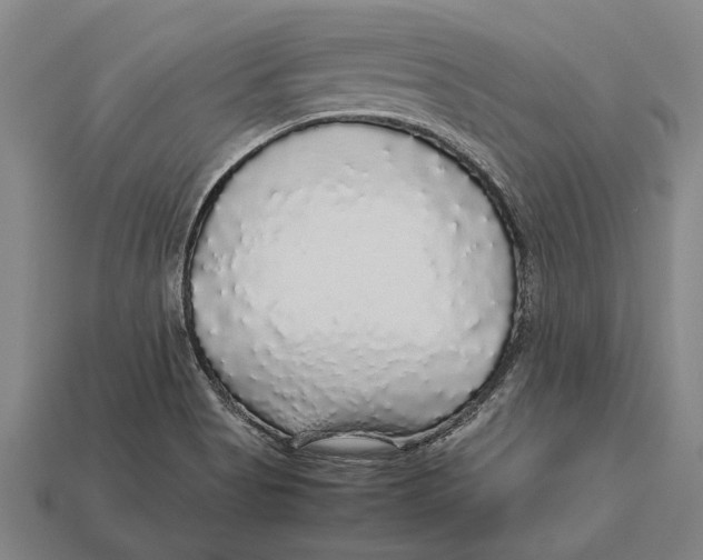 X0000113071513200909250918