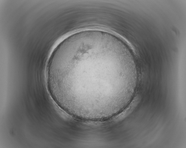 X0000113071514200909250918