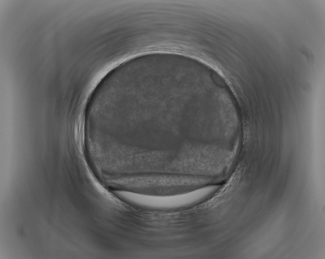 X0000113071515200909250918