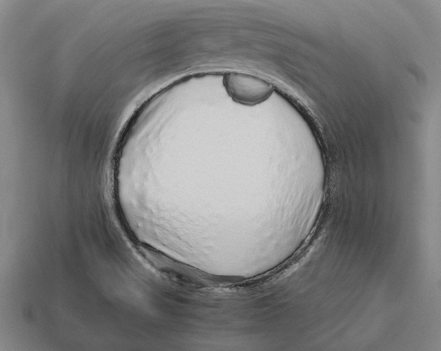 X0000113071517200909250918