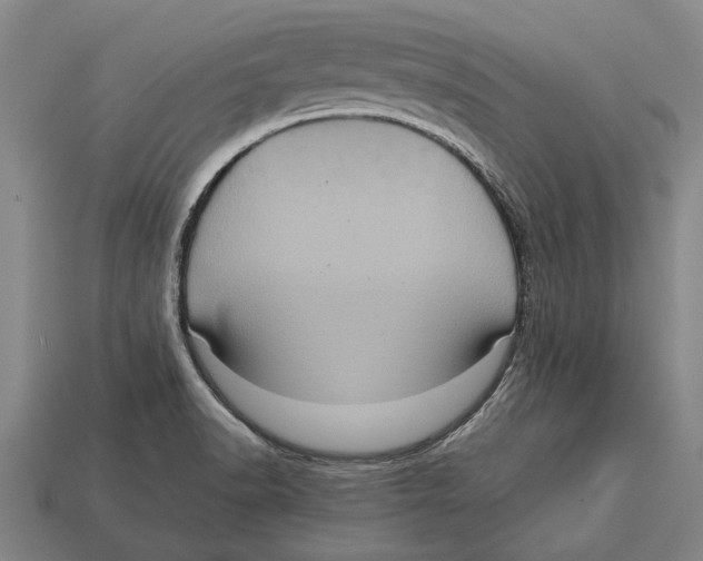 X0000113071518200909250919
