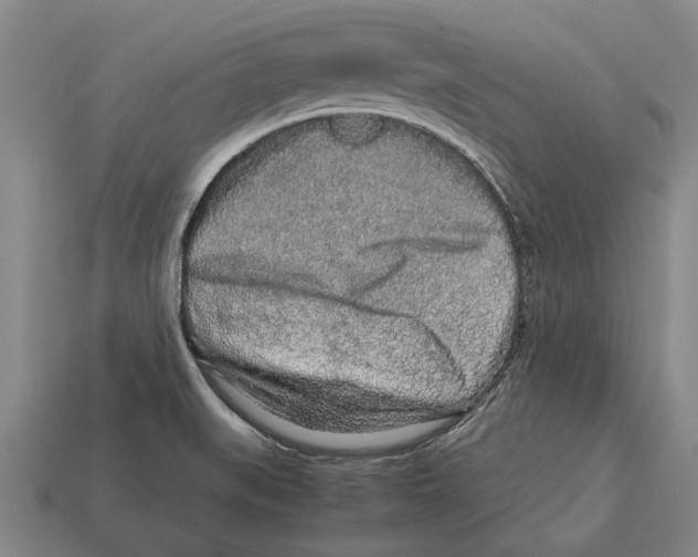 X0000113071519200909250919