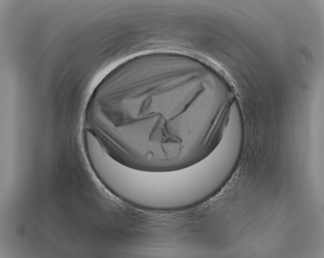 X0000113071520200909250919