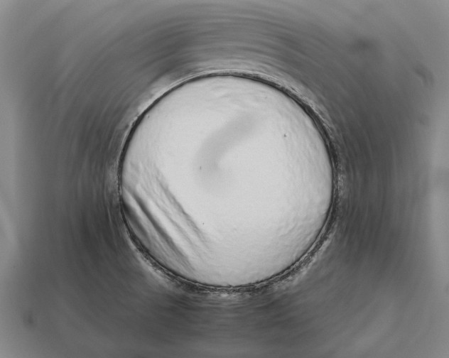 X0000113071521200909250919