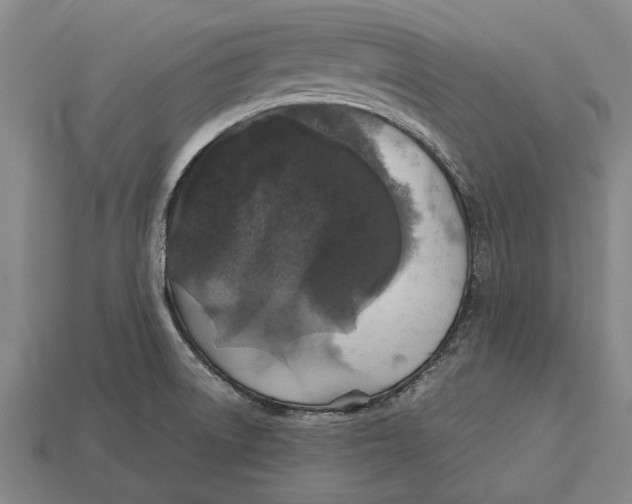 X0000113071522200909250919