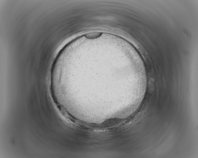 X0000113071523200909250919