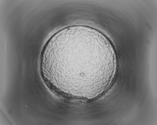 X0000113071525200909250919