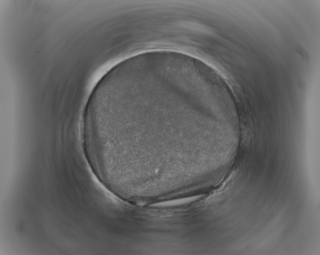 X0000113071527200909250919