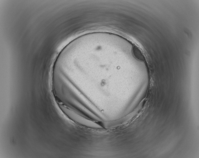 X0000113071528200909250919