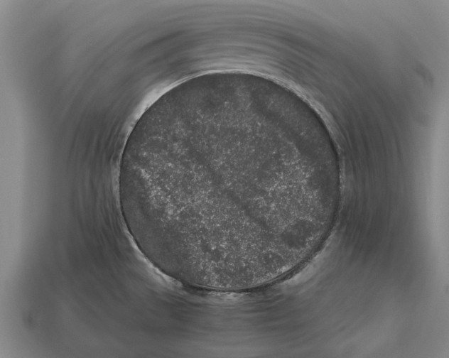X0000113071529200909250919