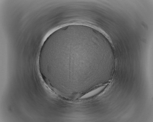 X0000113071530200909250919