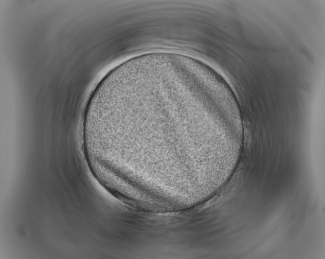 X0000113071531200909250919