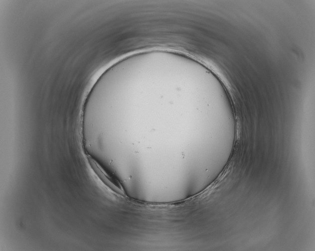 X0000113071532200909250919