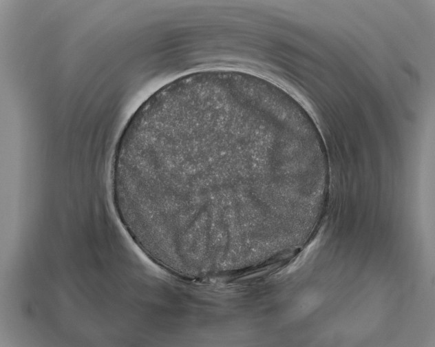X0000113071533200909250919