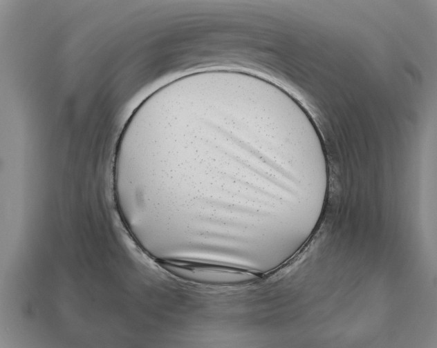 X0000113071534200909250919