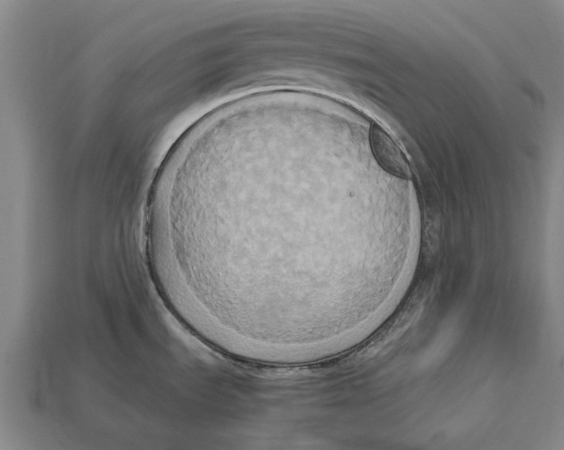 X0000113071535200909250919