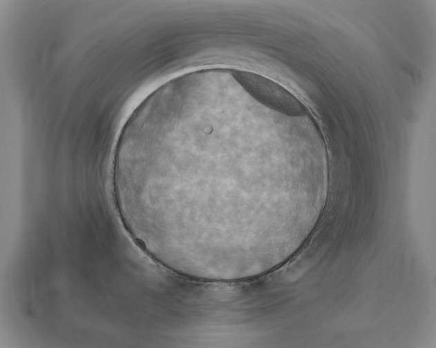 X0000113071536200909250919