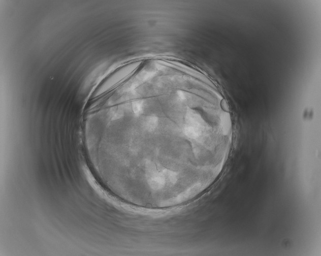 X0000113070002200910091218