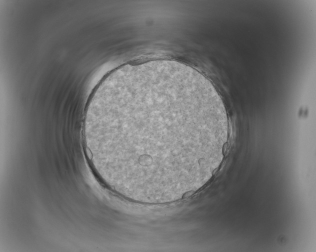 X0000113070003200910091218