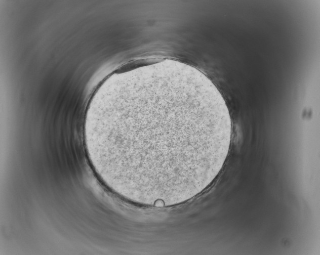 X0000113070004200910091218