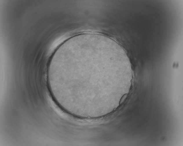 X0000113070005200910091218