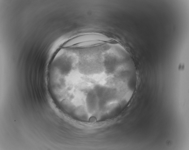 X0000113070006200910091218