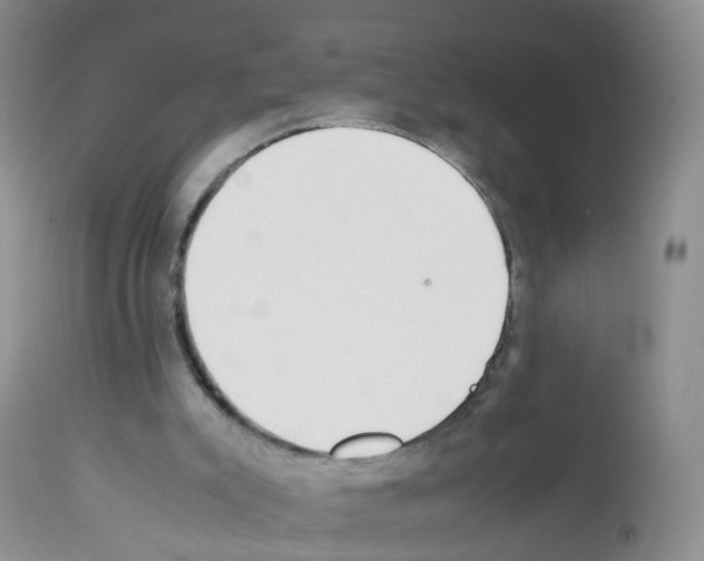 X0000113070007200910091218