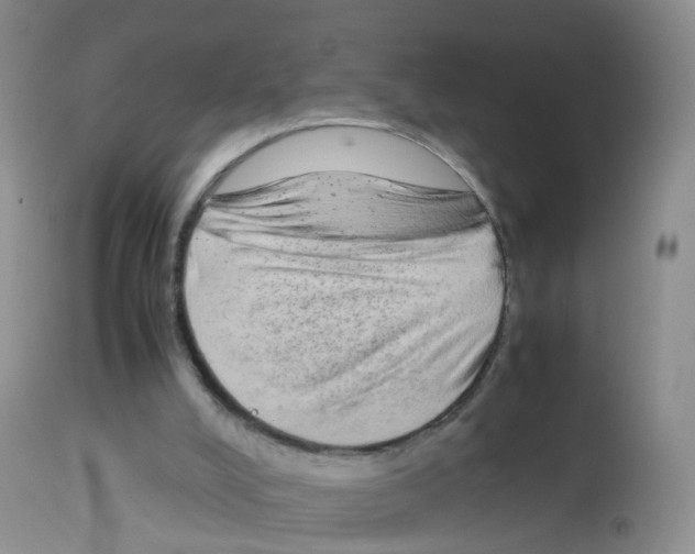 X0000113070008200910091218