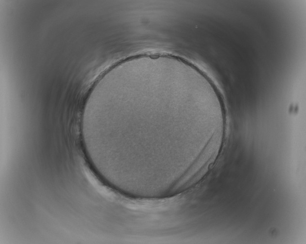 X0000113070009200910091218